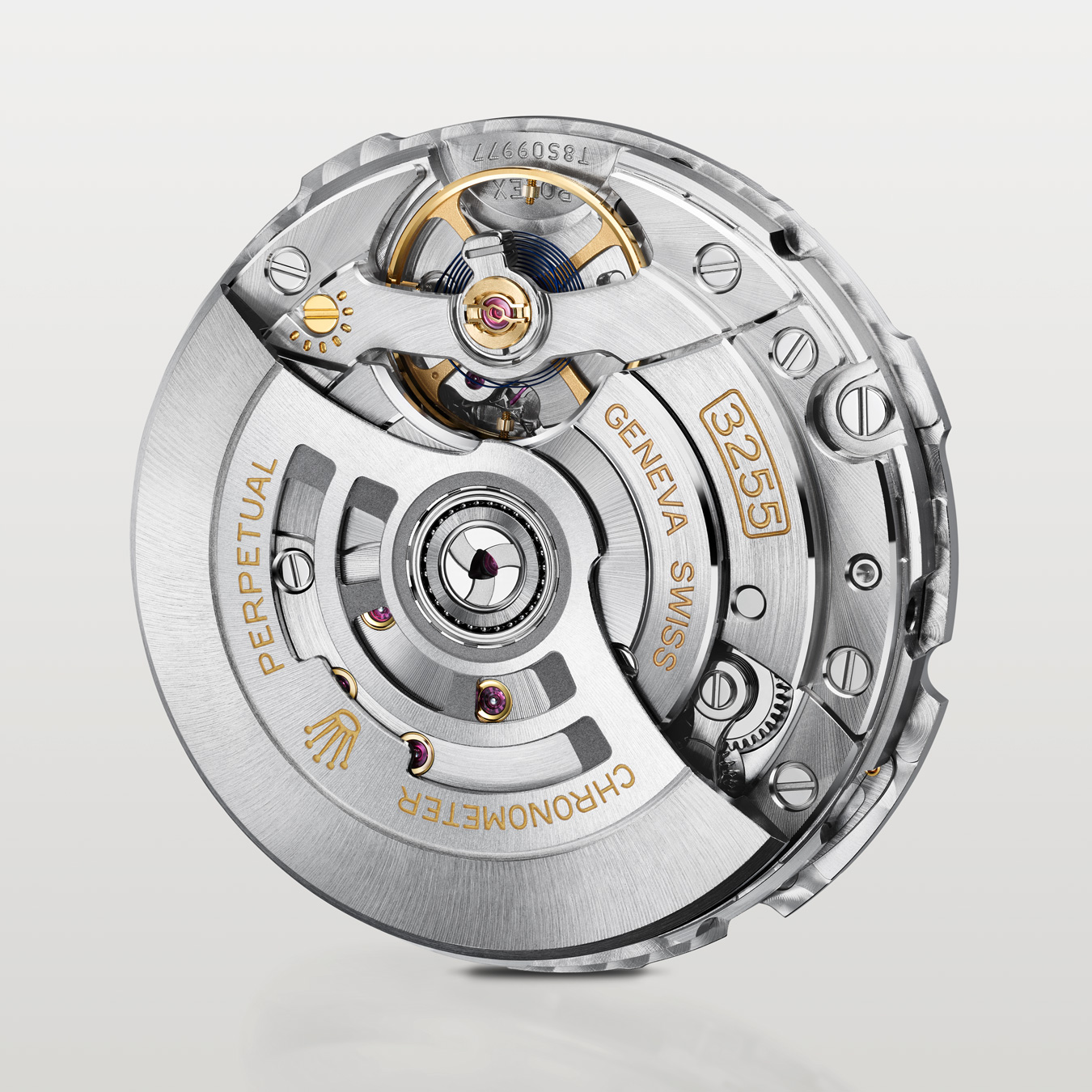 Inside workings of silver Rolex watch