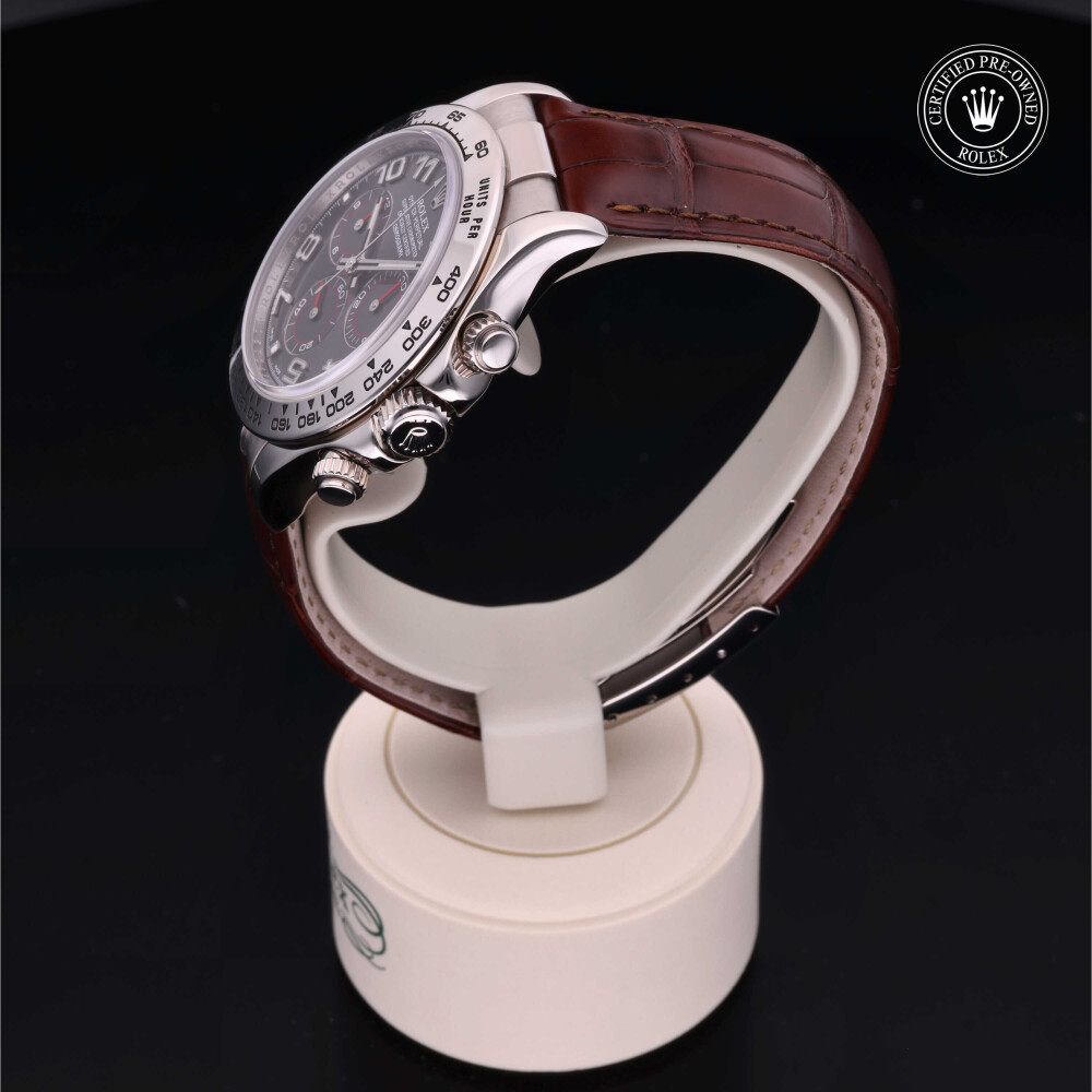 Rolex correa top