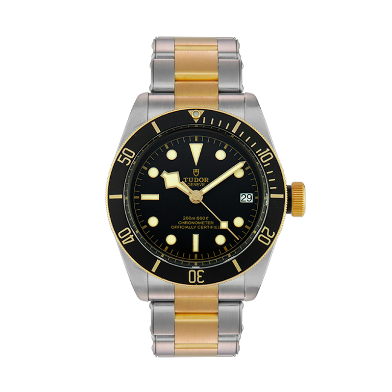 TUDOR, Black Bay 41, Steel and Yellow Gold