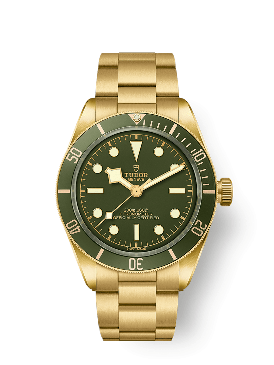TUDOR Black Bay 58 18K 39mm case, satin finished, in 18 ct yellow gold Open case back with sapphire crystal - M79018V-0006 at Prestons