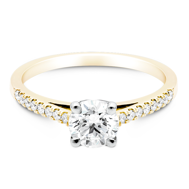 Round Brilliant Set with Diamonds, 18ct Yellow Gold