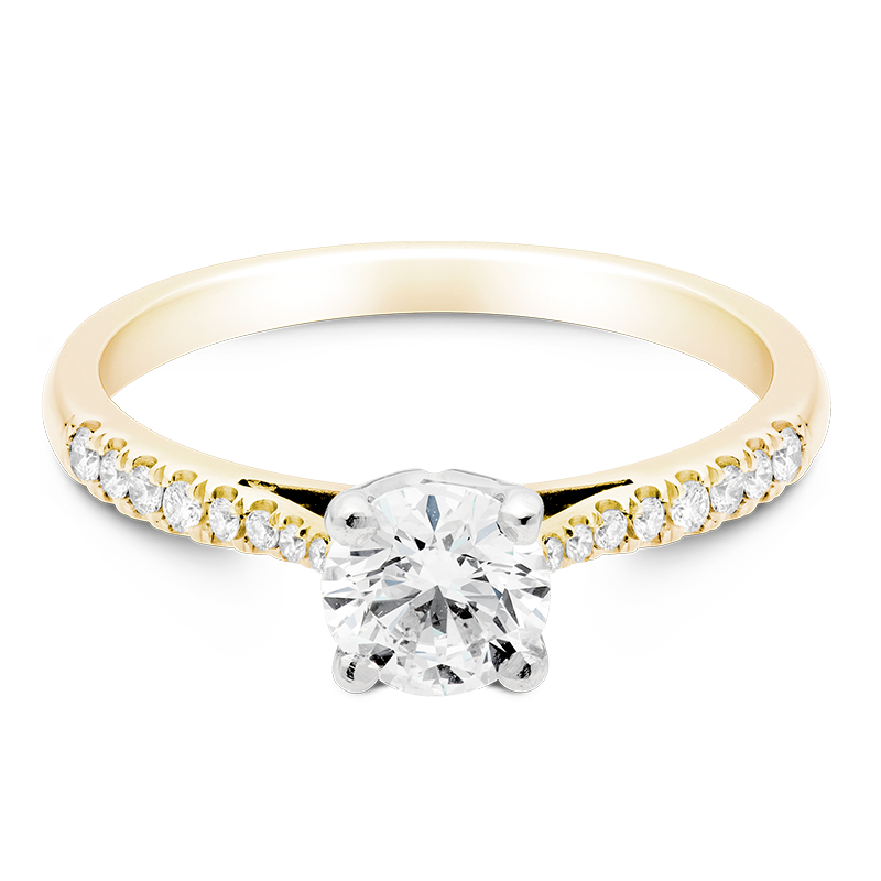 Round Brilliant Set with Diamonds, 18ct Yellow Gold