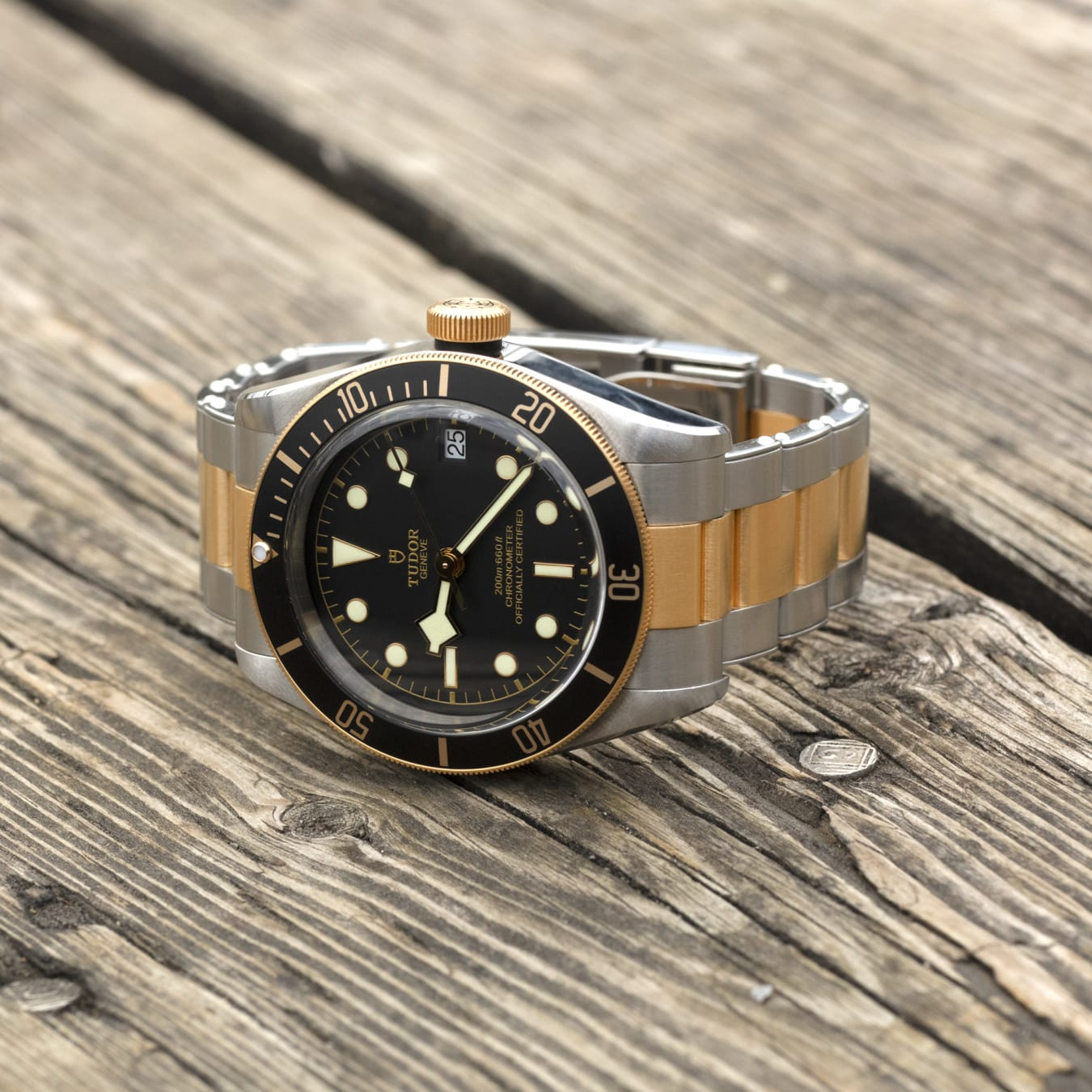 TUDOR Black Bay S&G 41mm steel case with polished and satin finish - M79733N-0008 at Prestons