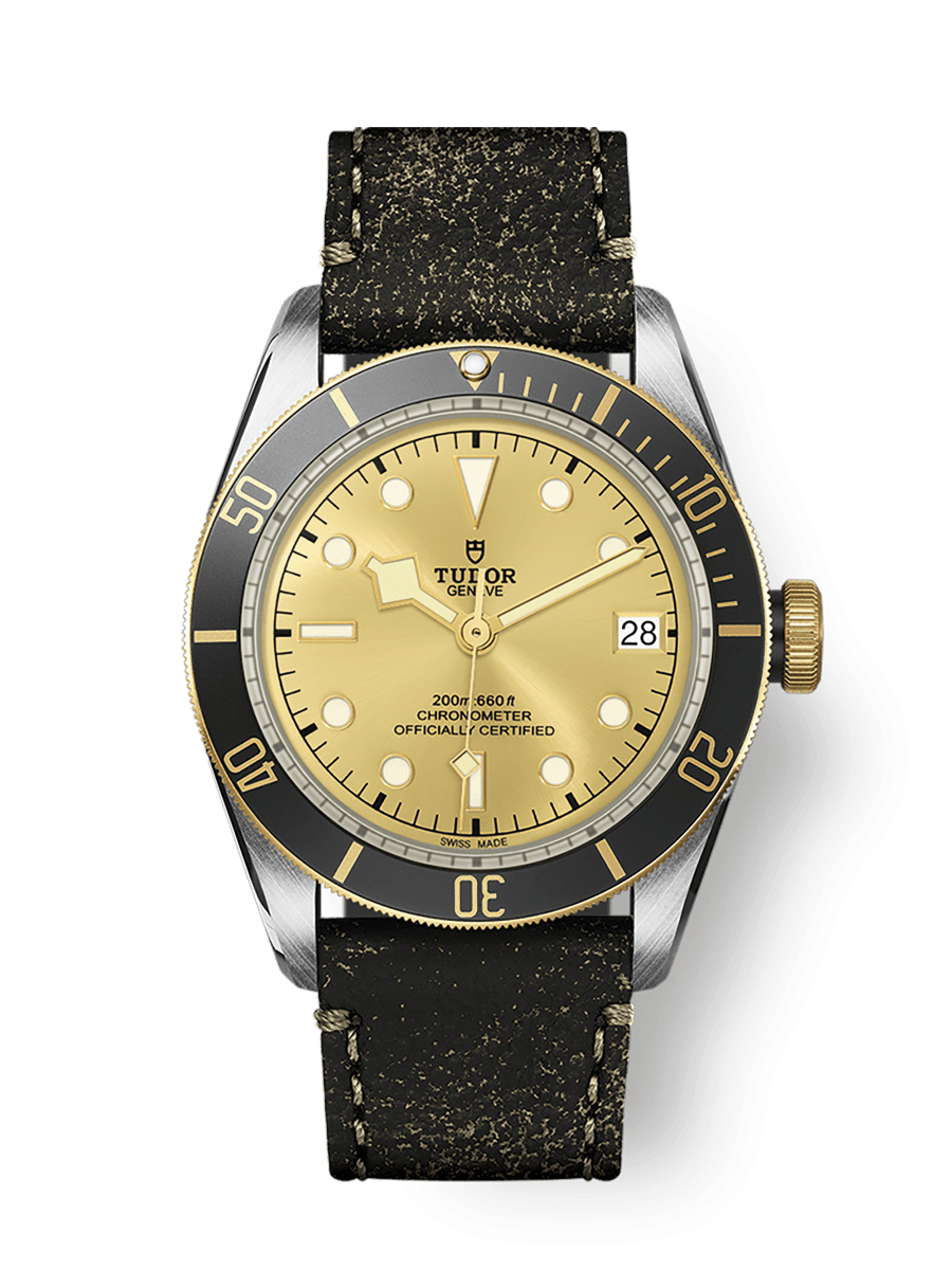 TUDOR Black Bay S&G 41mm steel case with polished and satin finish - M79733N-0003 at Prestons
