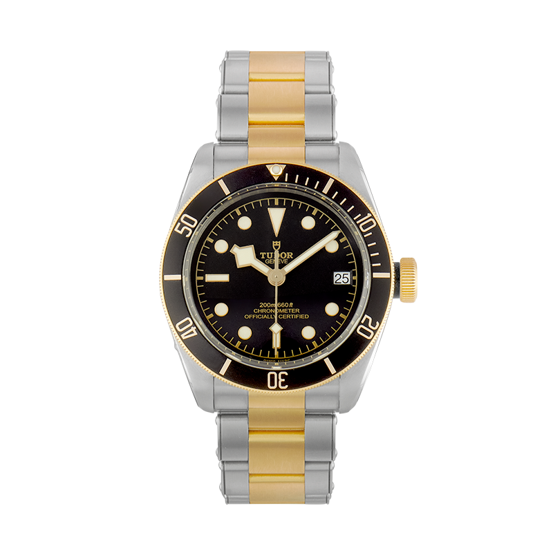 TUDOR, Black Bay 41, Steel and Yellow Gold