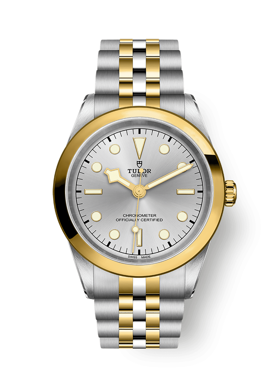 TUDOR Black Bay 41 S&G 41mm steel case with polished and satin finish - M79683-0002 at Prestons