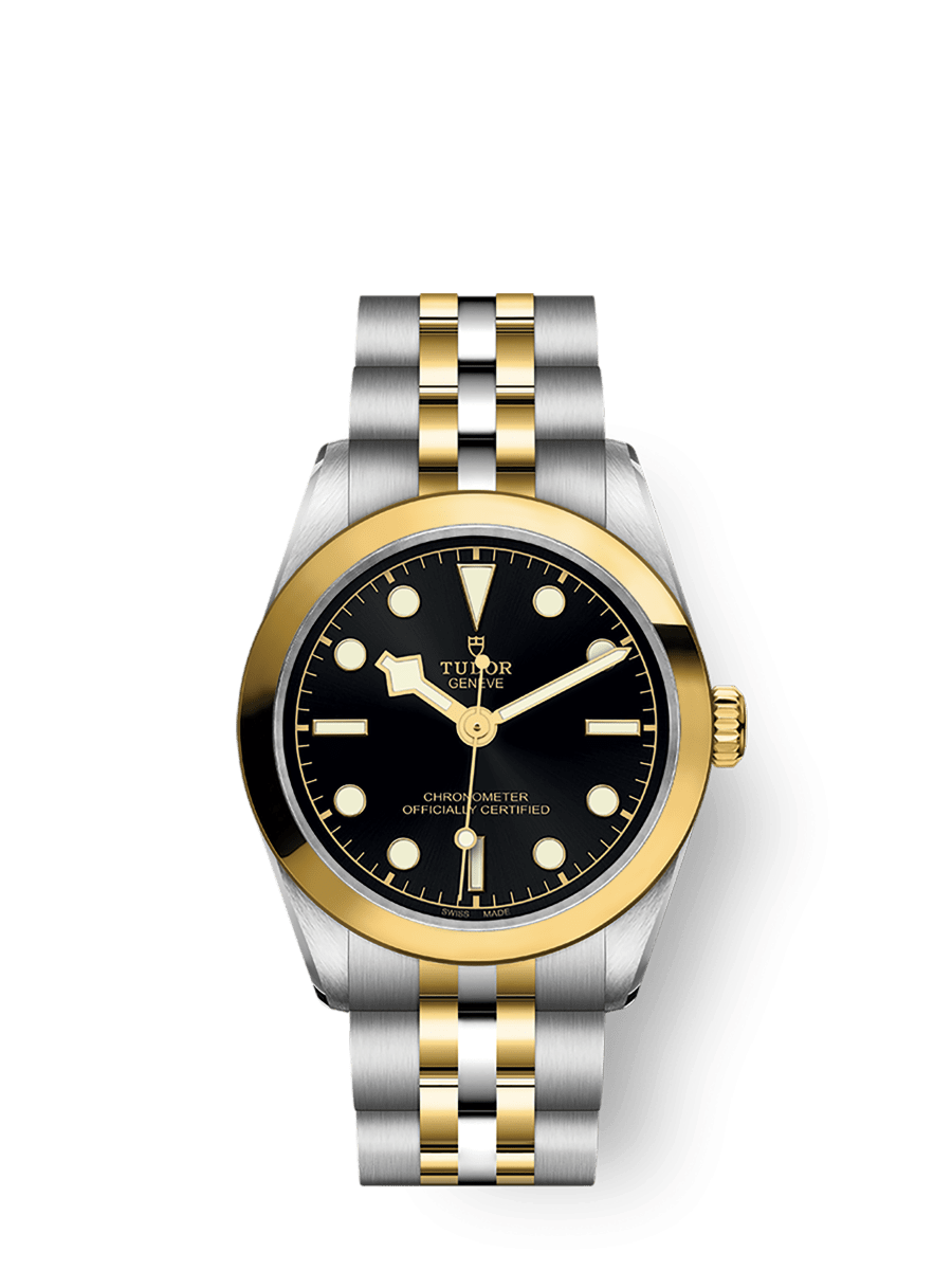TUDOR Black Bay 31 S&G 31mm 316L steel case with polished and satin finish - M79603-0001 at Prestons