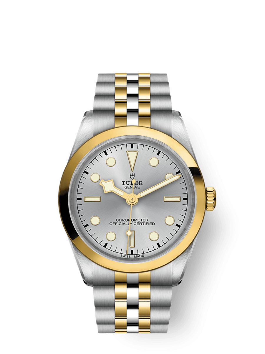 TUDOR Black Bay 36 S&G 36mm steel case with polished and satin finish - M79643-0002 at Prestons