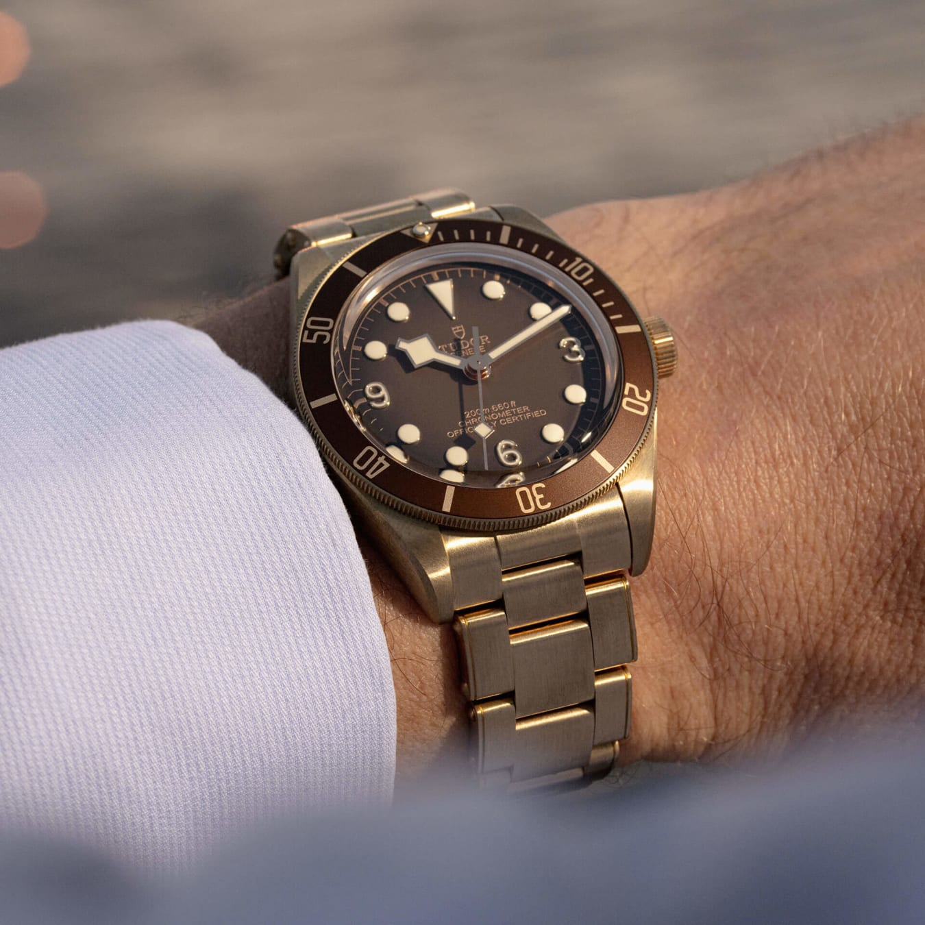 TUDOR Black Bay 58 Bronze 39mm satin-brushed bronze case whose colour evolves to match its user’s habits - M79012M-0001 at Prestons