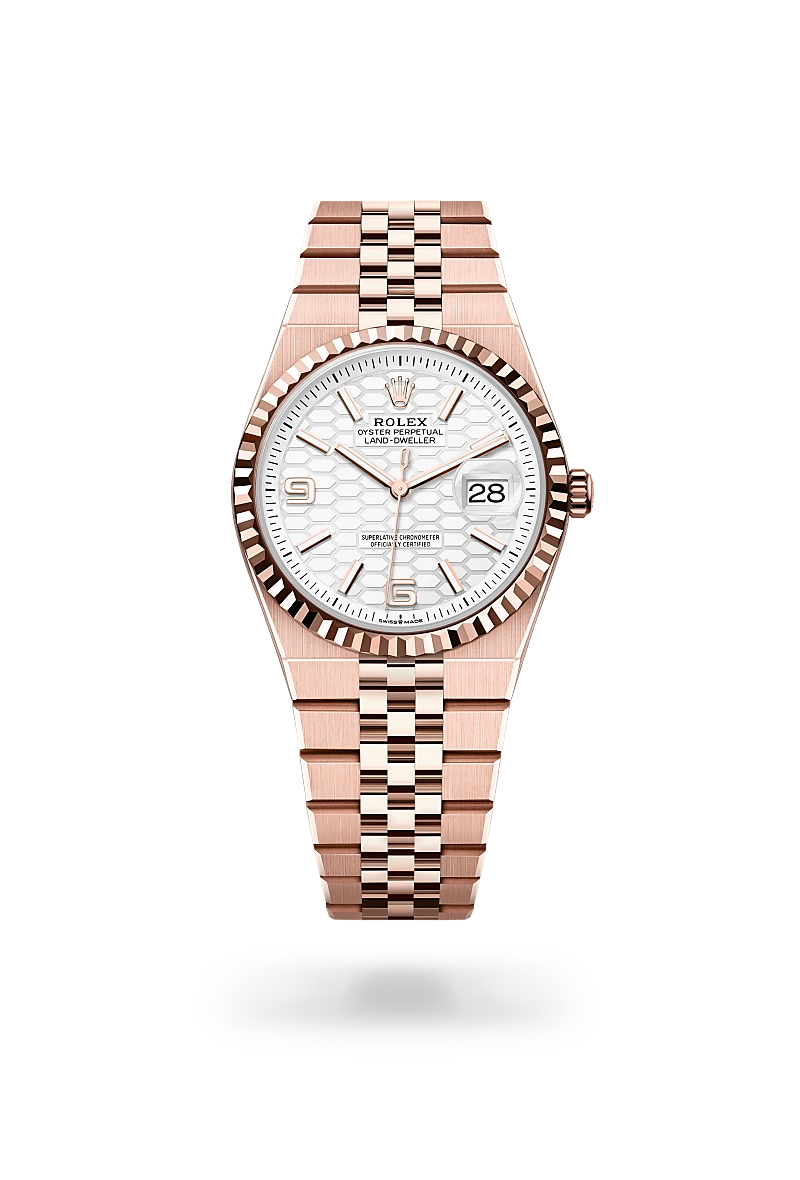 Rolex Land-Dweller 36 in 18 ct Everose gold, M127235-0001 at Prestons