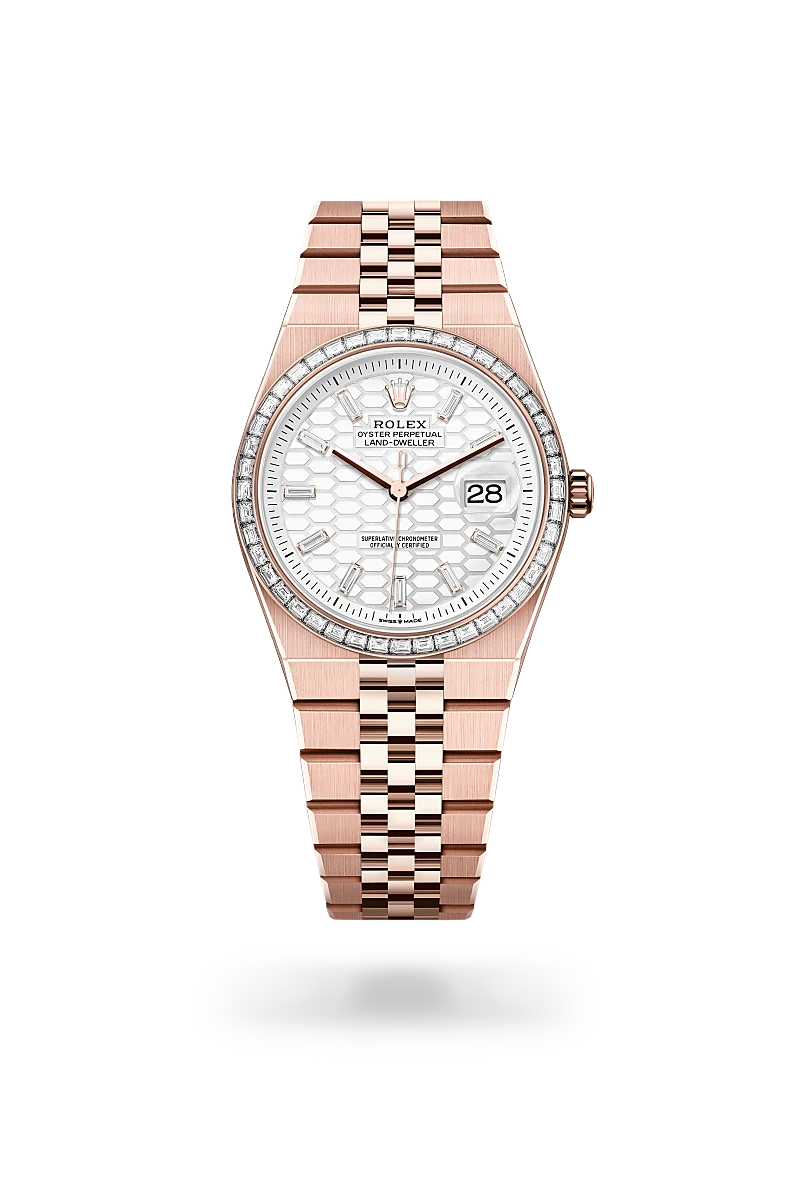 Rolex Land-Dweller 36 in 18 ct Everose gold, M127285TBR-0002 at Prestons