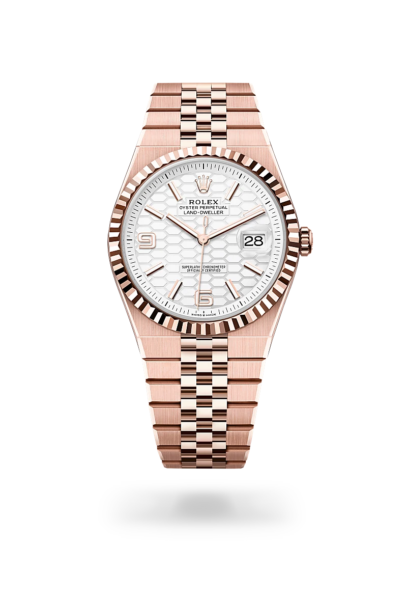 Rolex Land-Dweller 40 in 18 ct Everose gold, M127335-0001 at Prestons