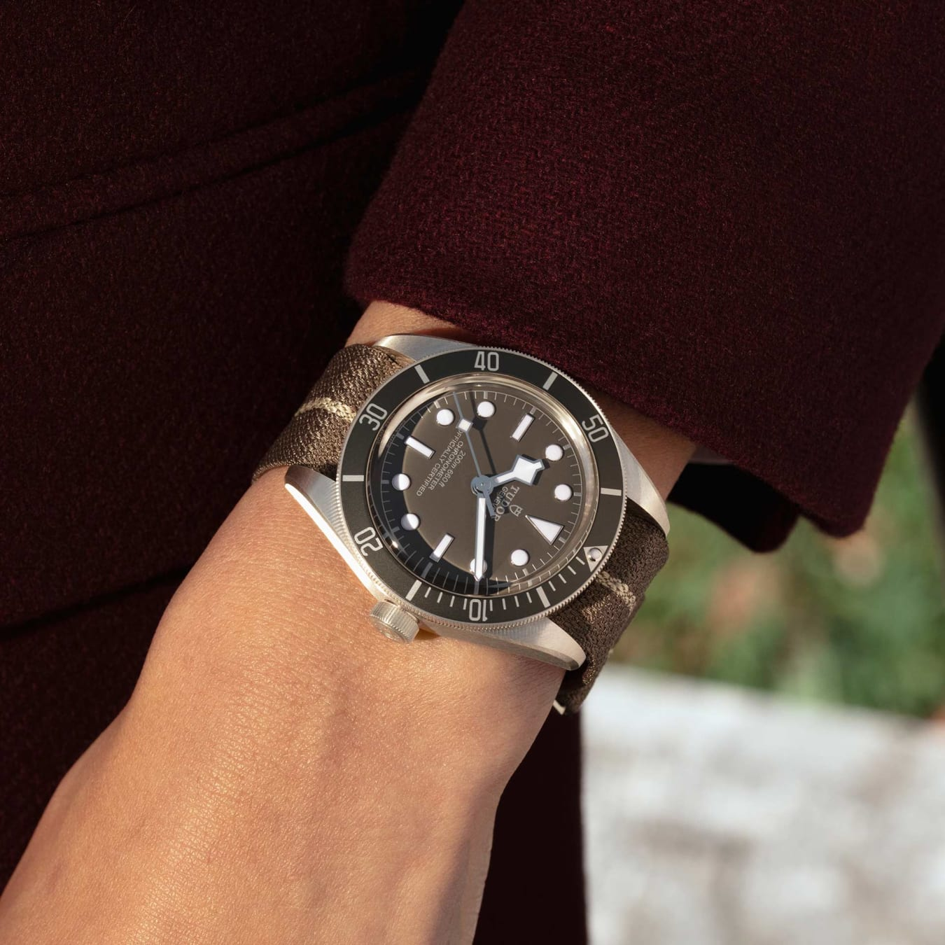 TUDOR Black Bay 58 925 39mm 925 silver case, satin finished Open case back with sapphire crystal - M79010SG-0002 at Prestons