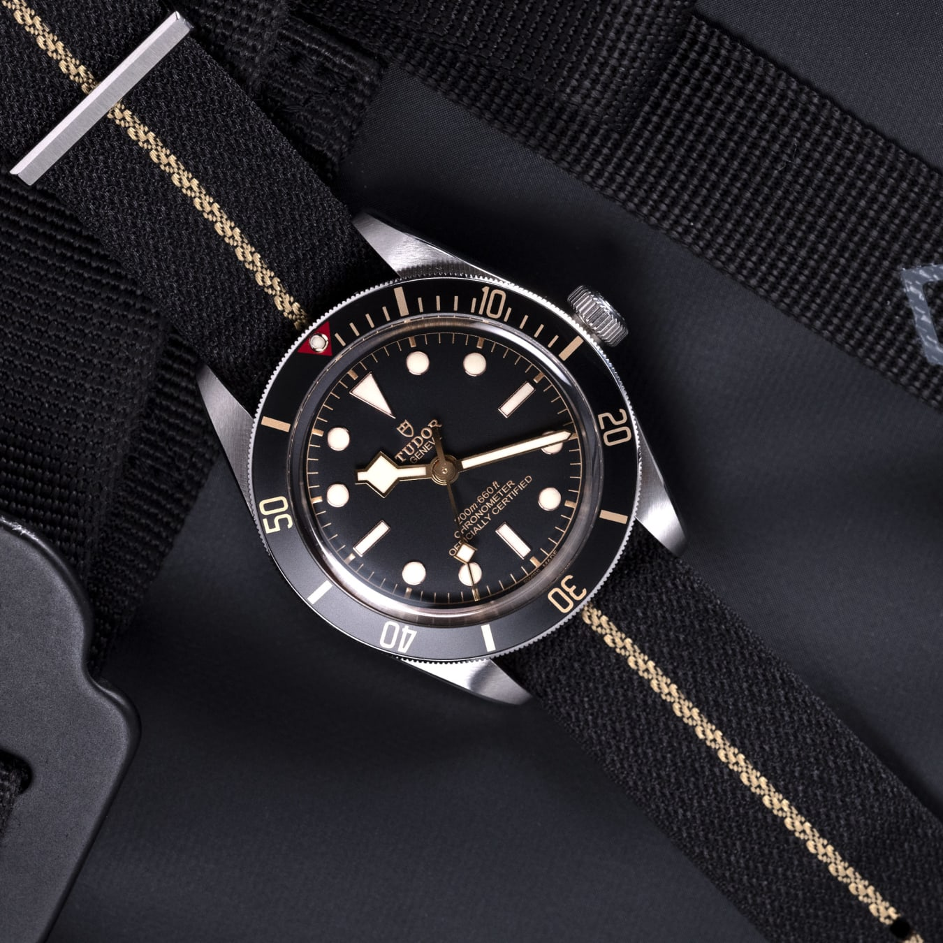 TUDOR Black Bay 58 39mm steel case with polished and satin finish - M79030N-0003 at Prestons