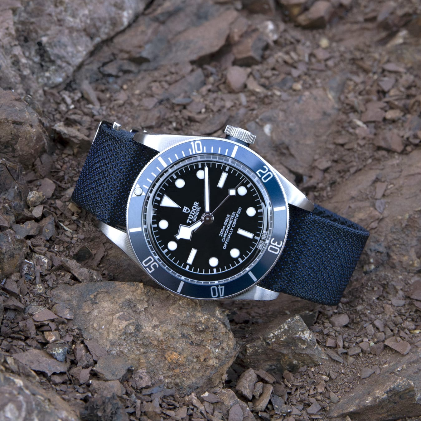 TUDOR Black Bay 41mm steel case with polished and satin finish - M79230B-0006 at Prestons