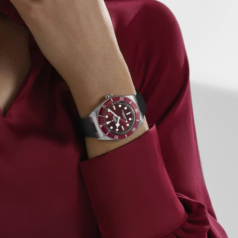 TUDOR Black Bay 58 39mm stainless steel case with polished and satin finishes - M7939A1A0RU-0003 at Prestons