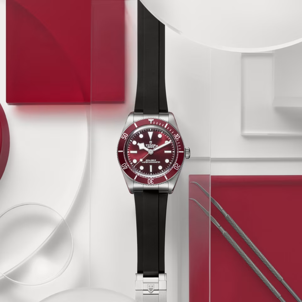 TUDOR Black Bay 58 39mm stainless steel case with polished and satin finishes - M7939A1A0RU-0003 at Prestons
