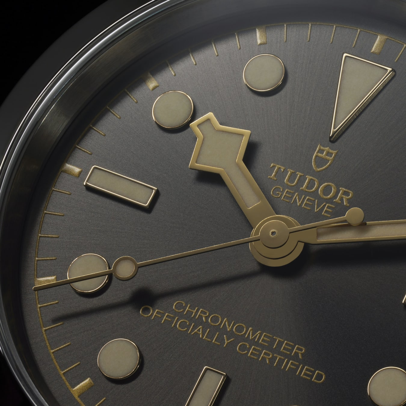 TUDOR Black Bay One 31 31mm stainless steel case with polished and satin finish - M79600-0001 at Prestons