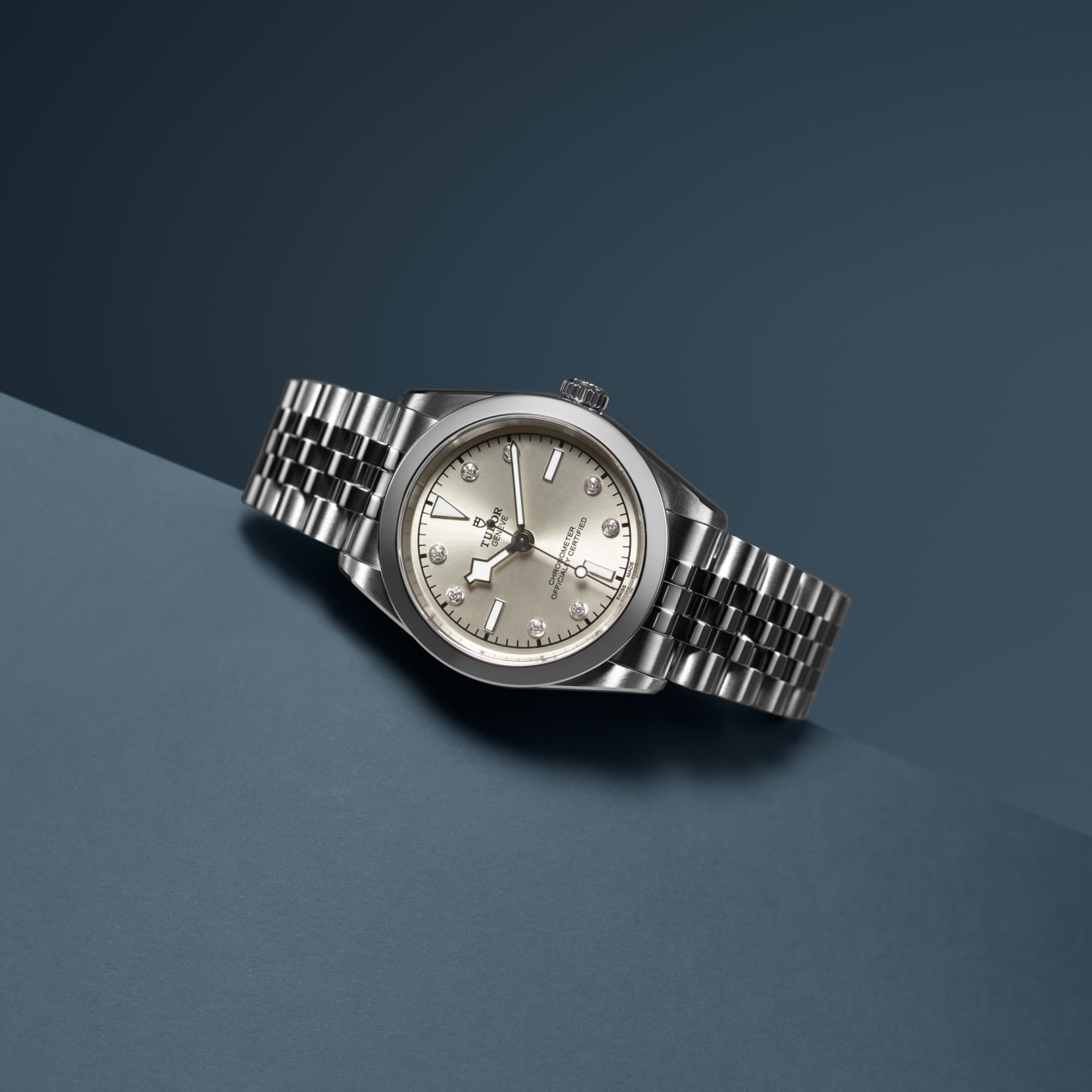 TUDOR Black Bay 31 31mm stainless steel case with polished and satin finish - M79600-0006 at Prestons