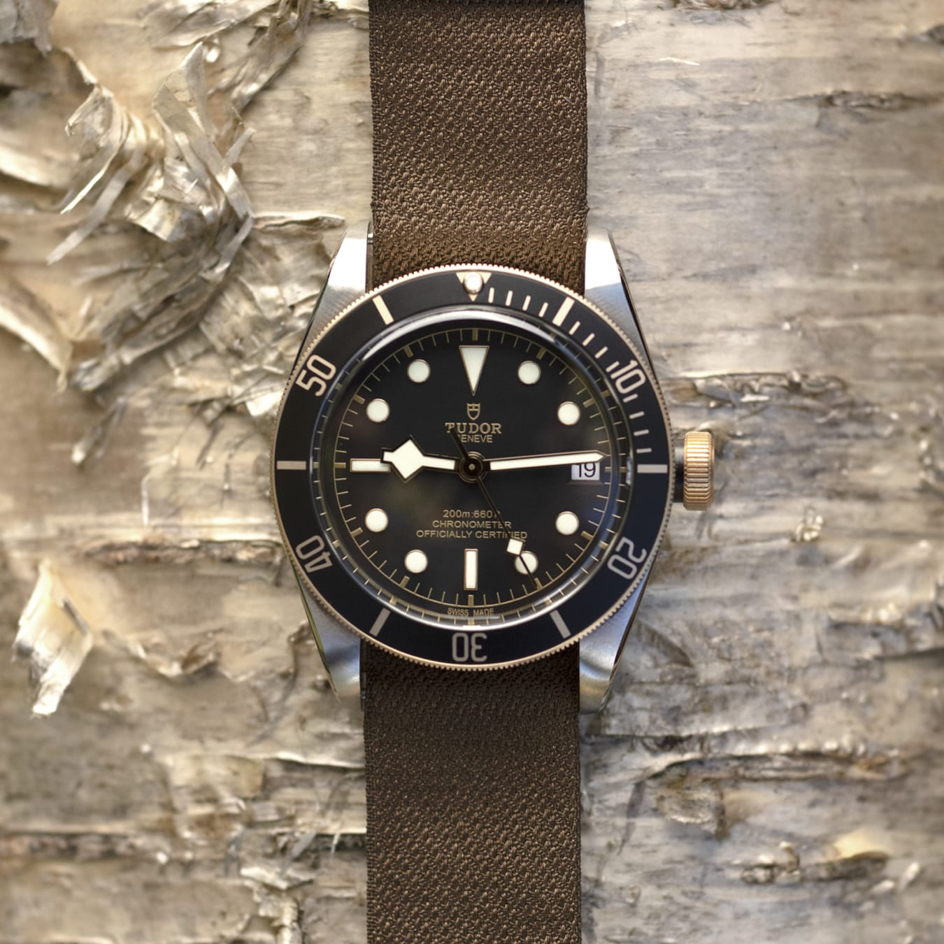 TUDOR Black Bay S&G 41mm steel case with polished and satin finish - M79733N-0005 at Prestons