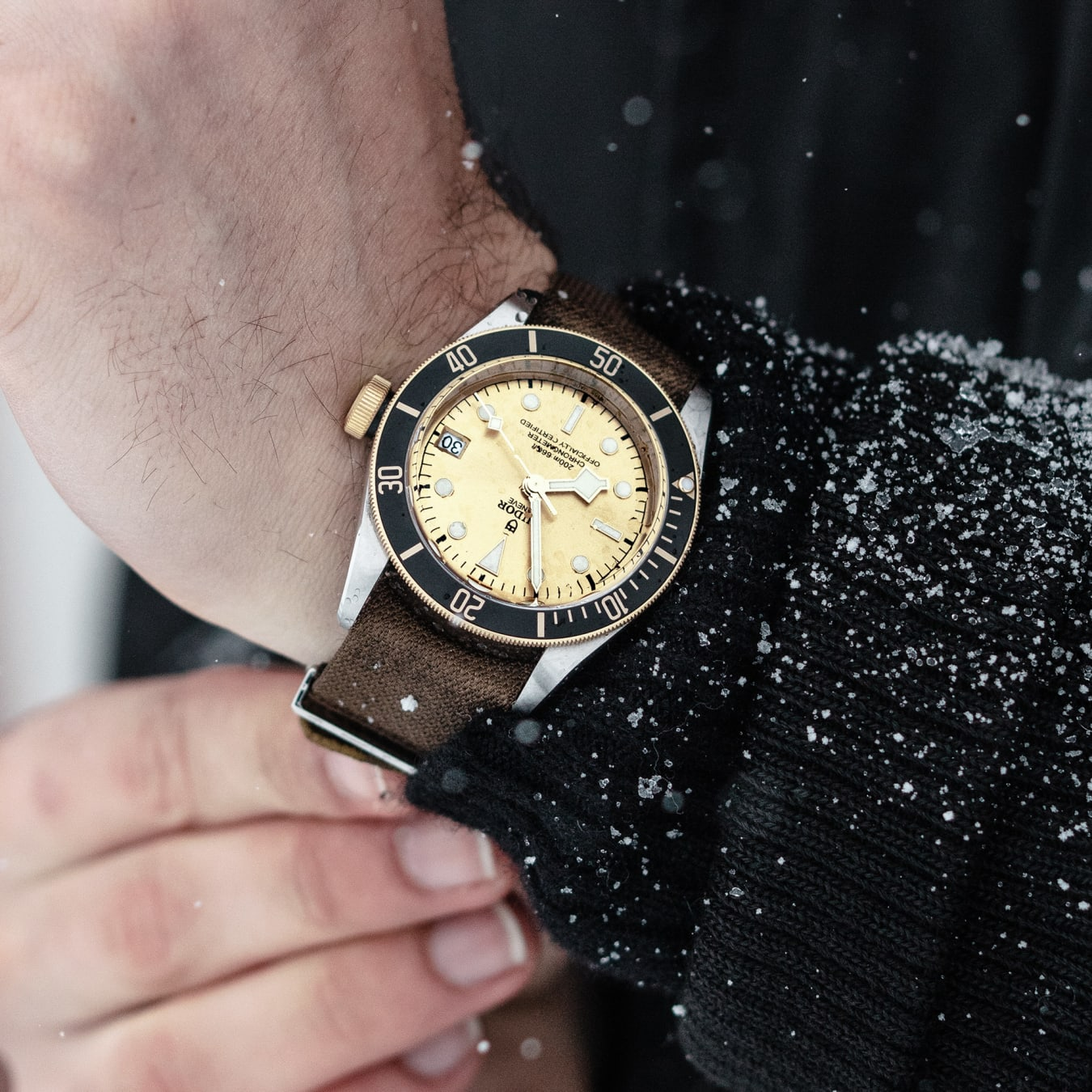 TUDOR Black Bay S&G 41mm steel case with polished and satin finish - M79733N-0006 at Prestons