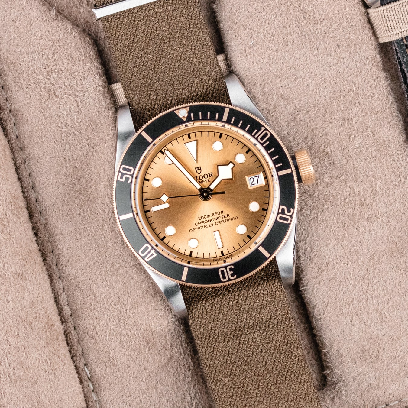 TUDOR Black Bay S&G 41mm steel case with polished and satin finish - M79733N-0006 at Prestons