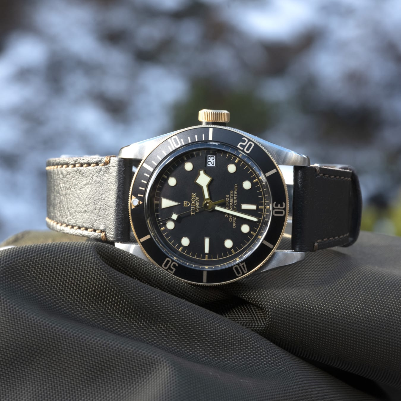 Black Bay S G M79733N 0007