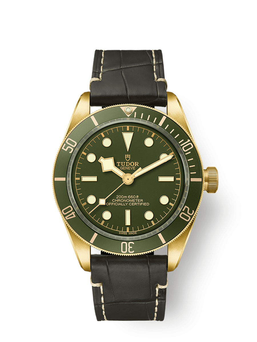 TUDOR Black Bay 58 18k