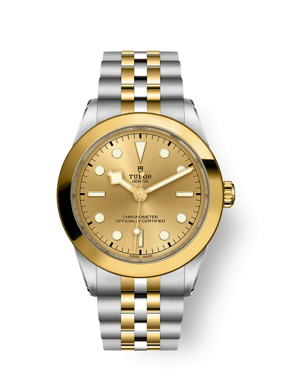 TUDOR Black Bay 39 S&G