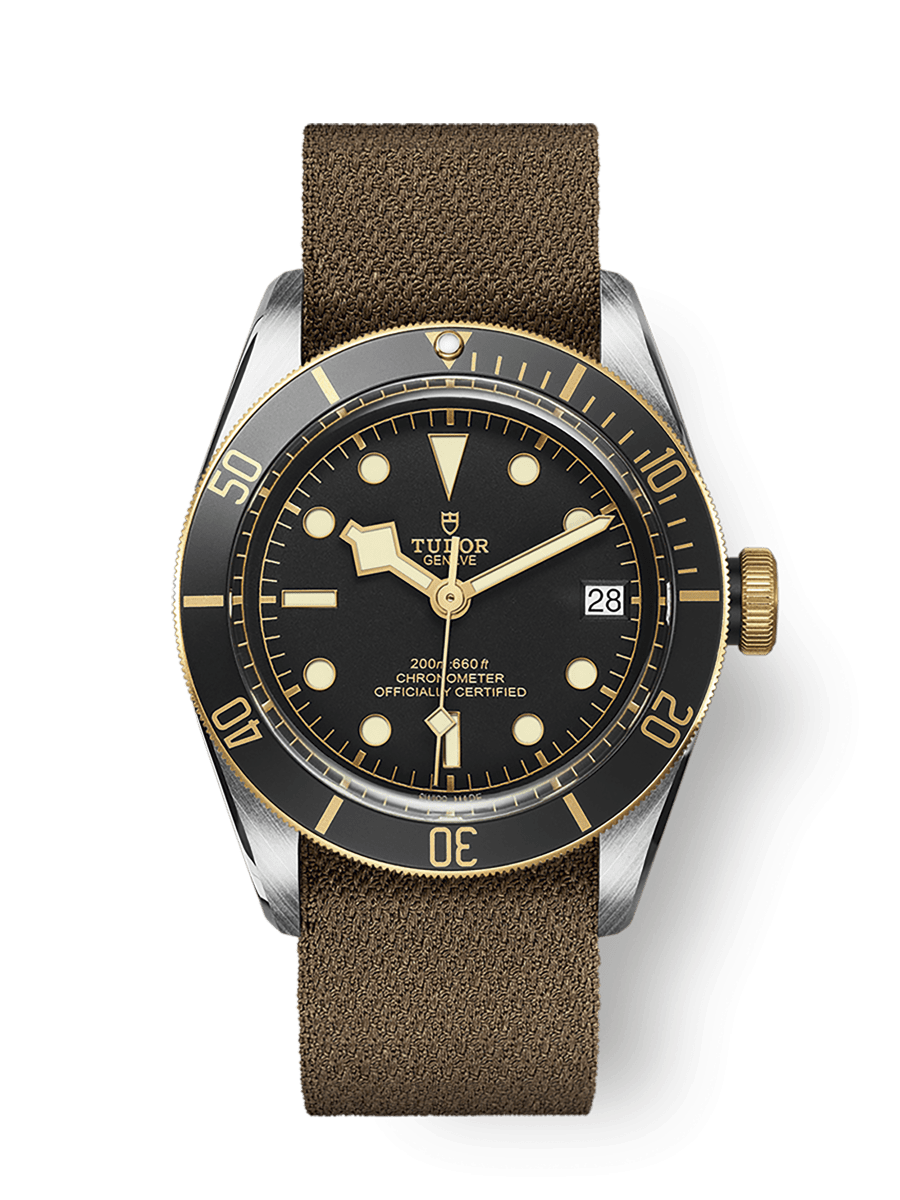 TUDOR Black Bay S&G