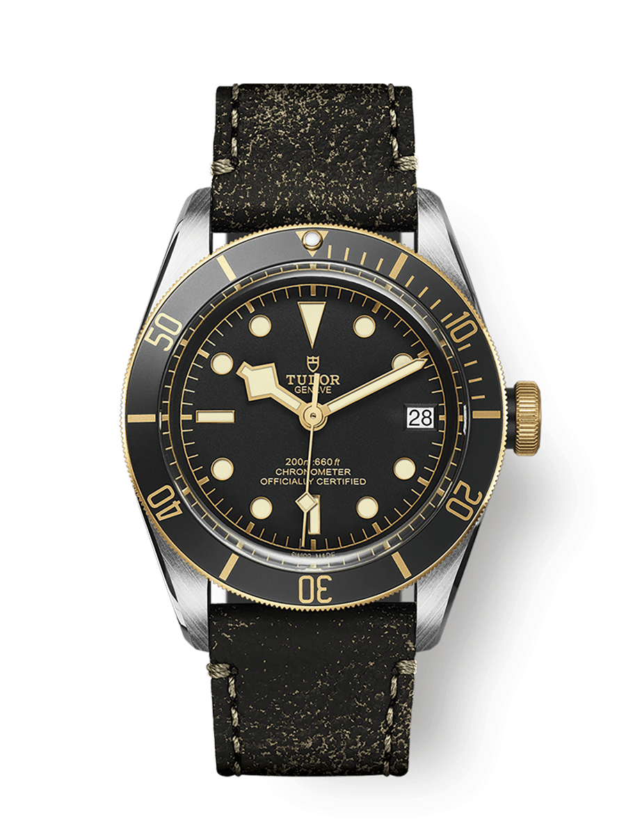 TUDOR Black Bay S&G