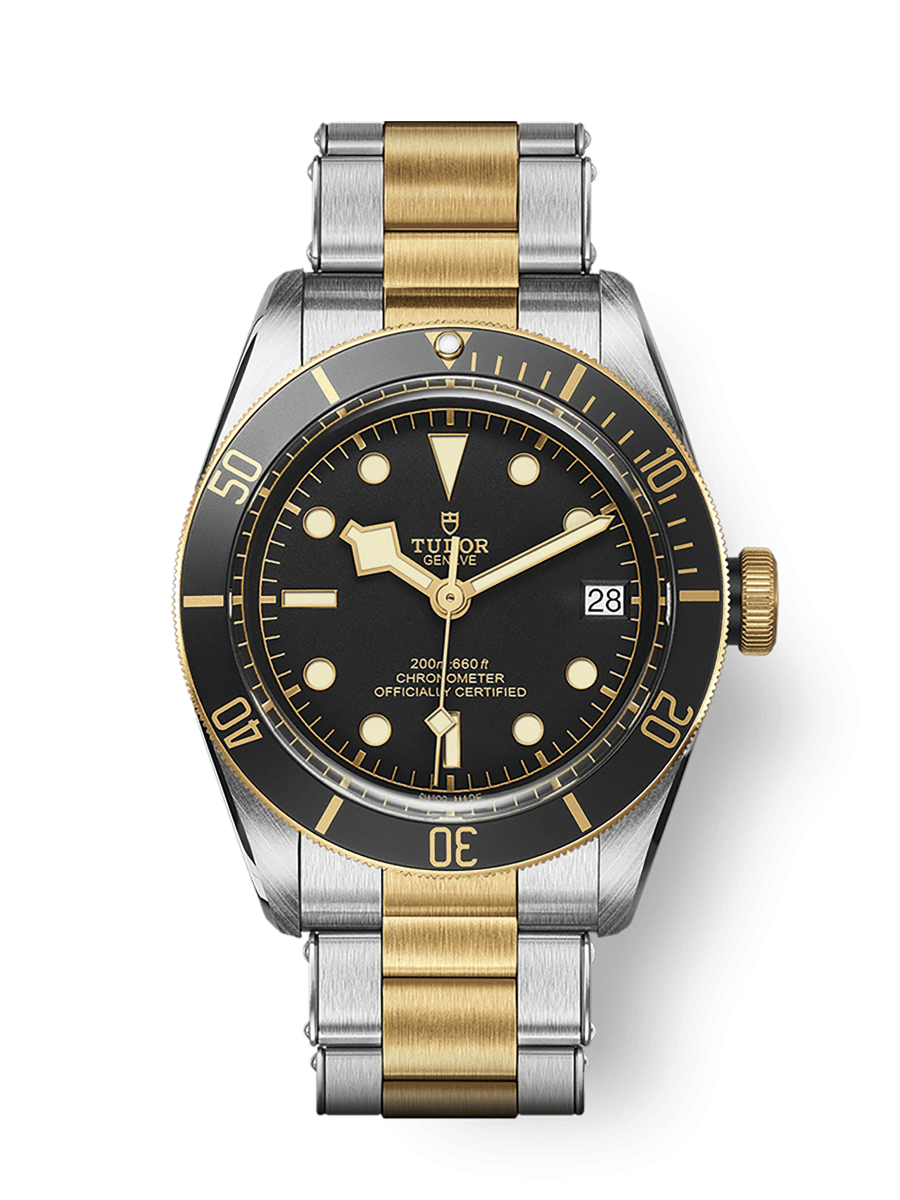 TUDOR Black Bay S&G