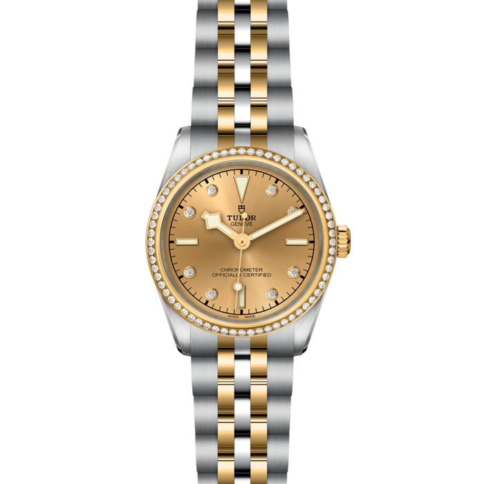 TUDOR Black Bay 31 S&G