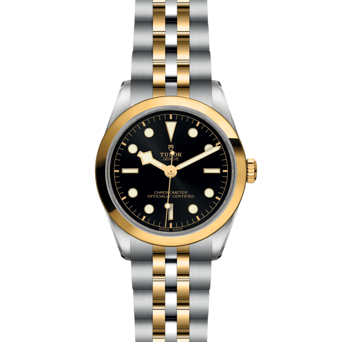 TUDOR Black Bay 36 S&G