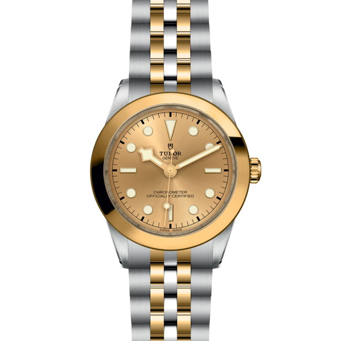 TUDOR Black Bay 39 S&G