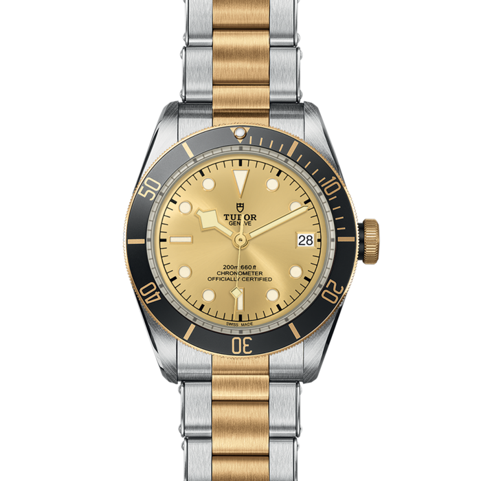 TUDOR Black Bay S&G