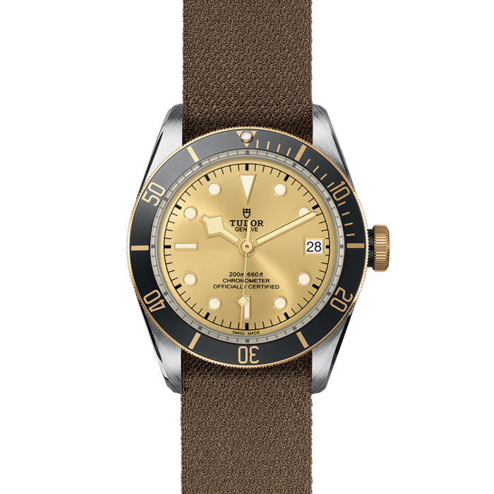 TUDOR Black Bay S&G