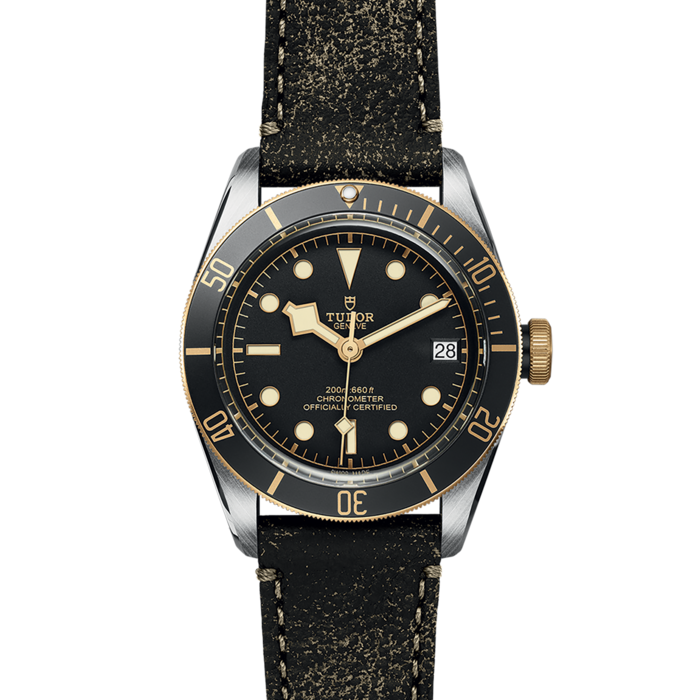 TUDOR Black Bay S&G